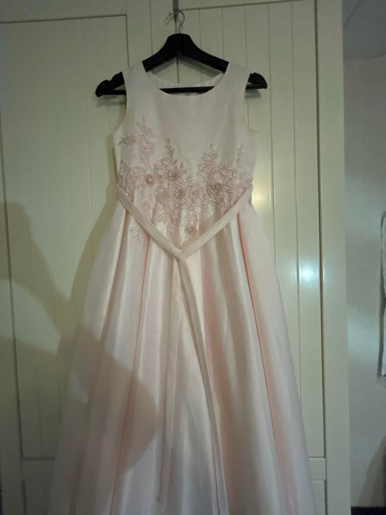 Prachtige Roze Baljurk met Borduurwerk, Kleding | Dames, Gelegenheidskleding, Maat 38/40 (M), Galajurk, Ophalen of Verzenden, Zo goed als nieuw