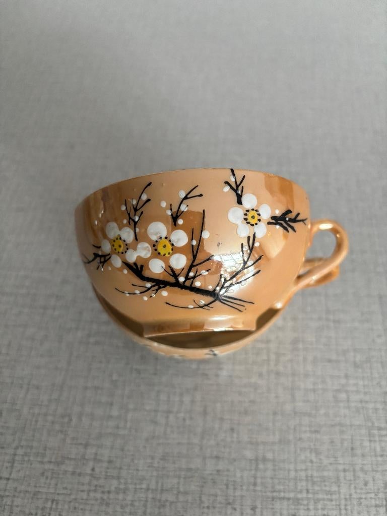 herford porselein 5 kopjes met schotel, Ophalen of Verzenden