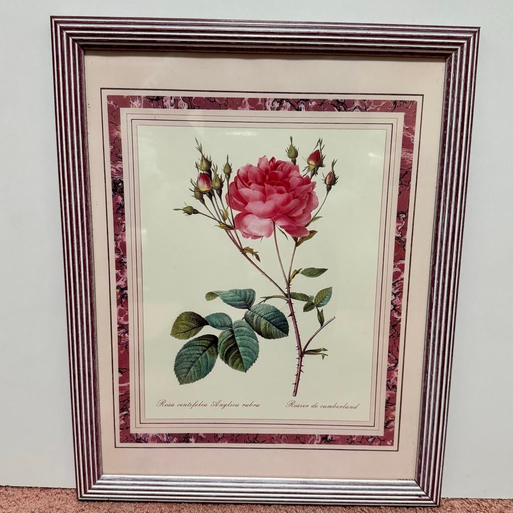 3 tekeningen van rozen in een lijstje, Ophalen, Gebruikt, Tekening, Minder dan 50 cm