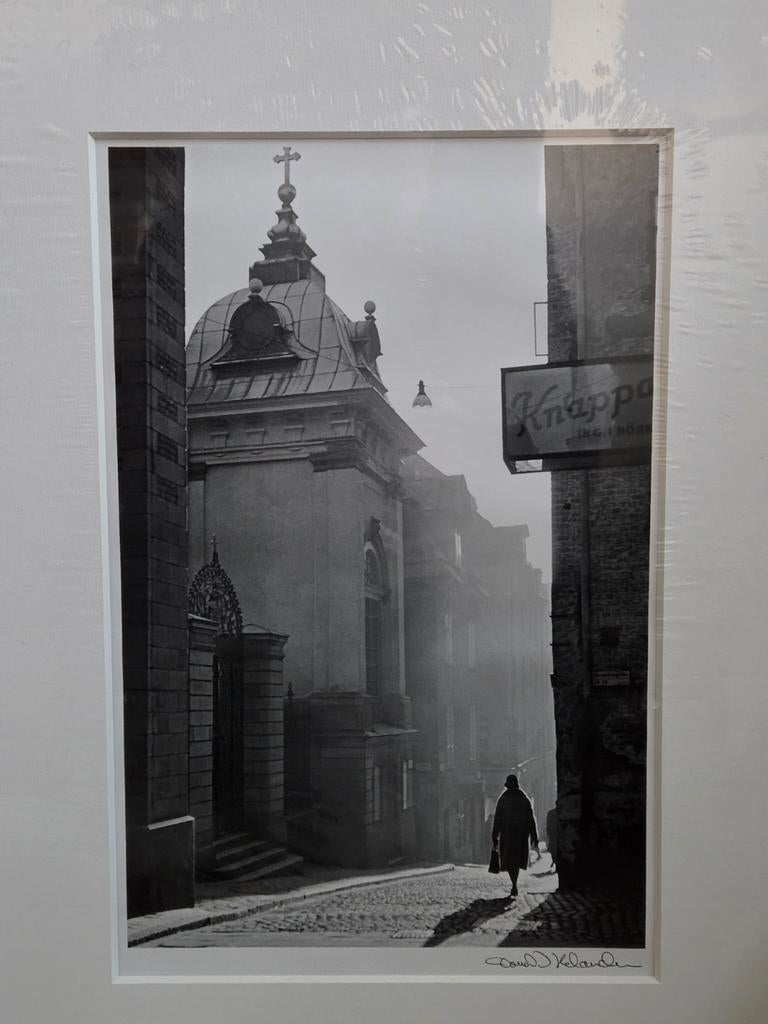 Mooie IKEA BILD FJÄLLSTA poster, Minder dan 50 cm, Oorspronkelijke maker, Nieuw, Ophalen of Verzenden