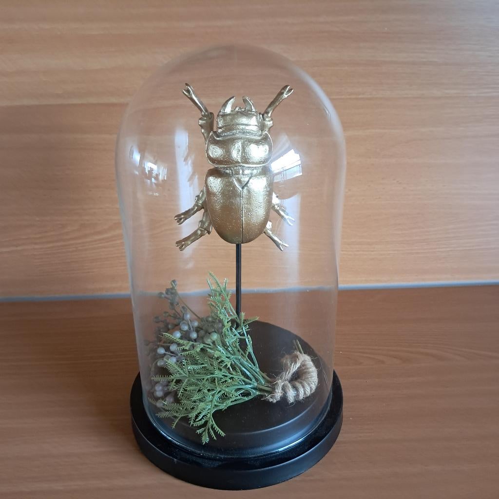 Stolp, Ophalen, Zo goed als nieuw