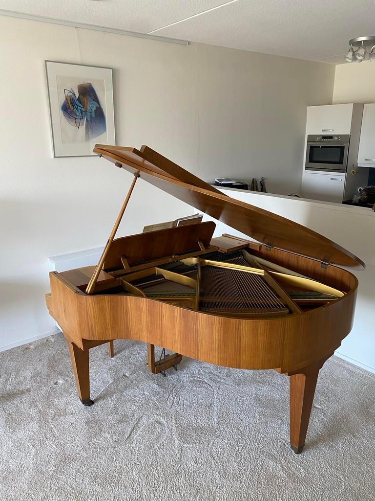 Schimmel Minivleugel - Breed 150cm, Diep 155cm, Ophalen, Gebruikt, Bruin, Vleugel