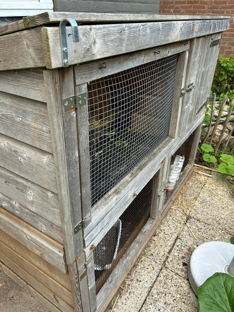 Konijnenhok buiten met ren, Ophalen, 110 cm of meer, Zo goed als nieuw, 90 cm of meer