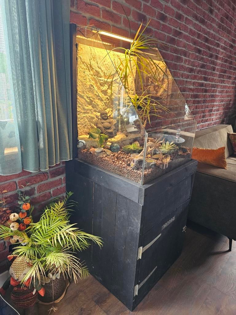 Plantarium, Tuin en Terras, Ophalen