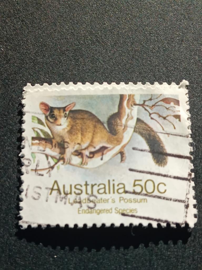 Australische postzegel Leadbeater's Possum 50c, Ophalen of Verzenden, Gestempeld