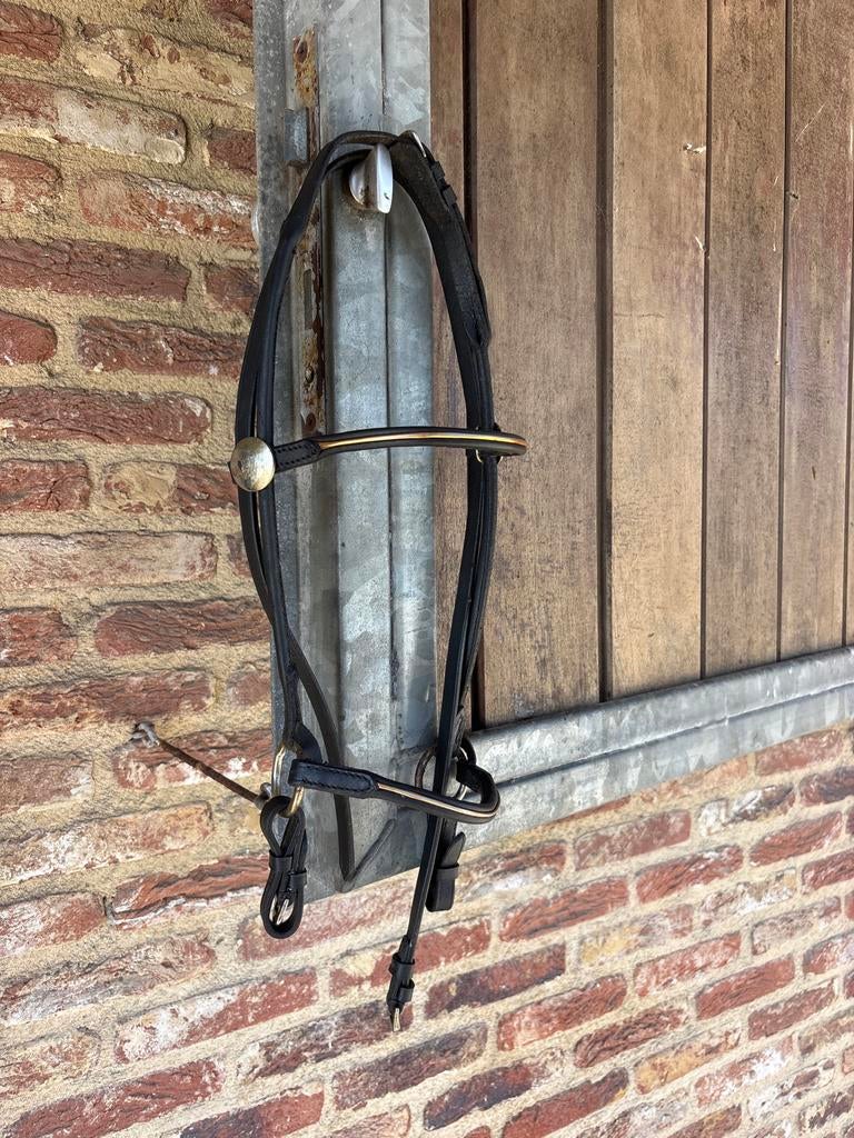 Voorbreng halster maat Cob, Dieren en Toebehoren, Ophalen of Verzenden, Gebruikt, Overige soorten