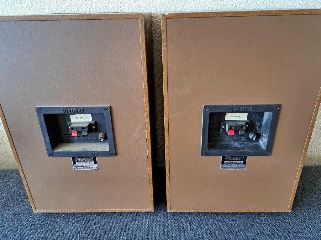 Magnat speakers MIG-Ribbon 2 A, Audio, Tv en Foto, Luidsprekers, Ophalen, Gebruikt, Magnat, 60 tot 120 watt