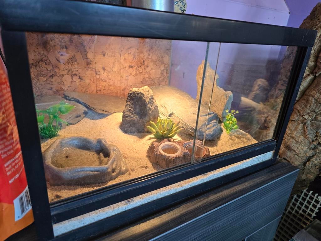 Woestijn terrarium  42.5 diep 42,5 breed 25 hoog, Dieren en Toebehoren, Reptielen en Amfibieën | Toebehoren, Ophalen, Zo goed als nieuw
