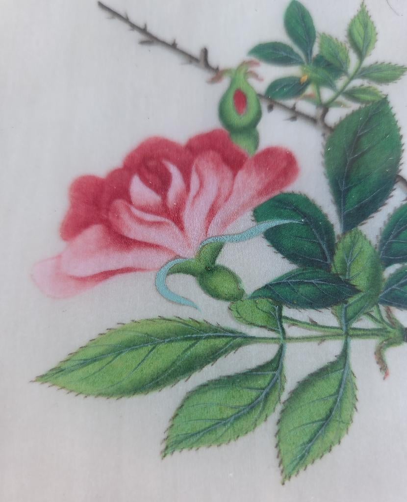 Antiek chinees schilderij rijstpapier bloemen vlinders China, Ophalen of Verzenden