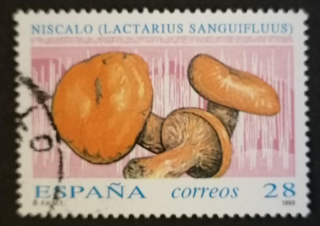 SPANJE - paddestoelen 1993, Verzenden, Gestempeld