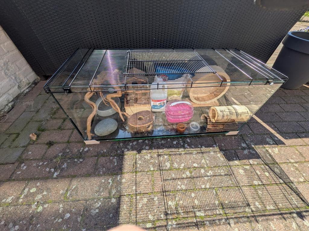 Knaagdier terrarium, Kooi, 110 cm of meer, Zo goed als nieuw, Ophalen