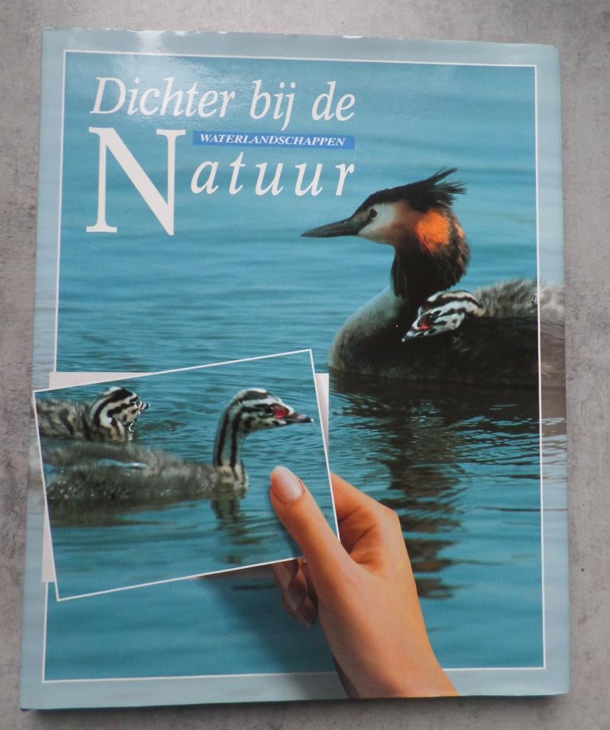 Verkade boek  Dichter bij de Natuur, Boeken, Natuur, Ophalen of Verzenden, Zo goed als nieuw, Natuur algemeen