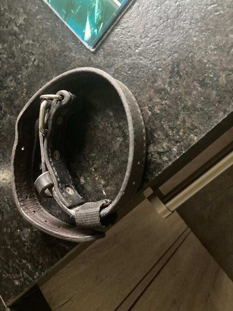 Hondenhalsband leer, Dieren en Toebehoren, Ophalen of Verzenden