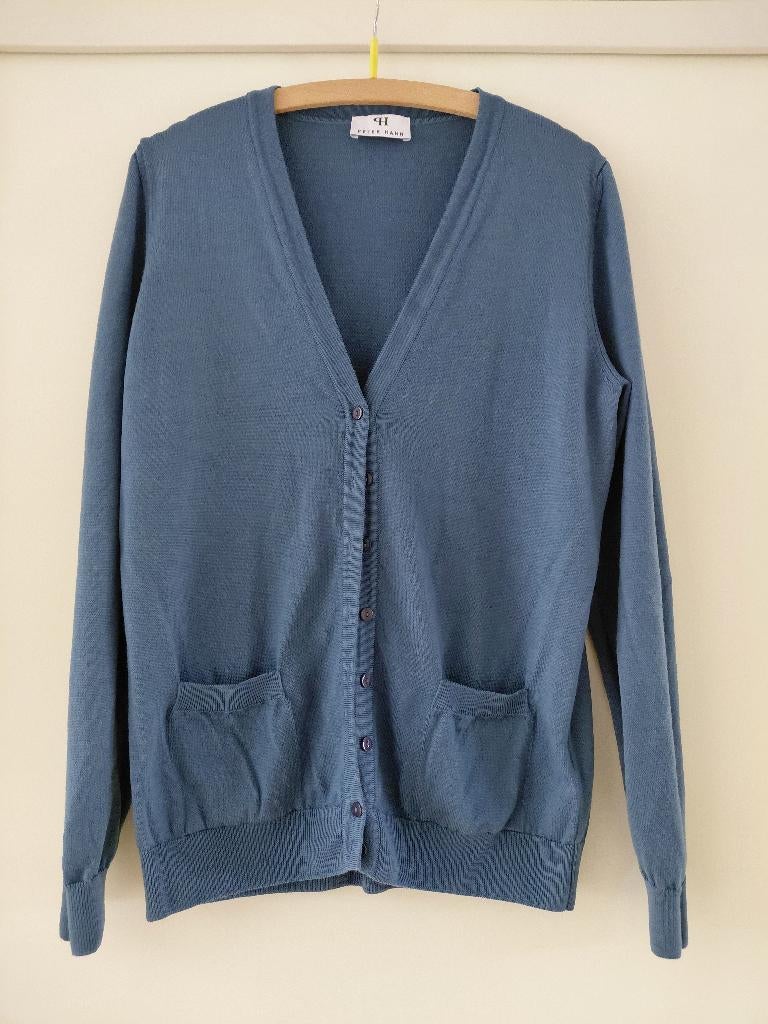 Peter Hahn vest/shirt/top 42/44 diverse  wol, Verzenden, Zo goed als nieuw, Maat 38/40 (M)