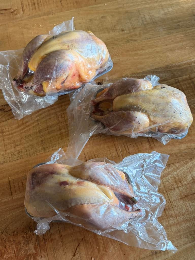 Wilde bosfazant (Haan), Vacatures, 33 - 40 uur, Overige niveaus, Overige vormen