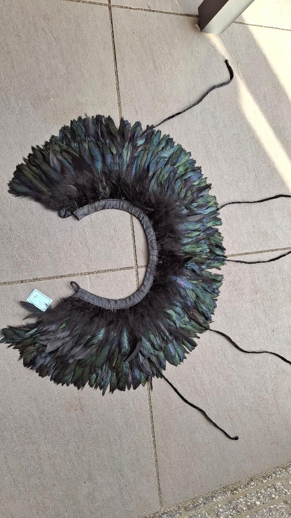 Carnaval verkleden verenkraag – NIEUW, Carnaval, Nieuw, Ophalen of Verzenden, Onbekend