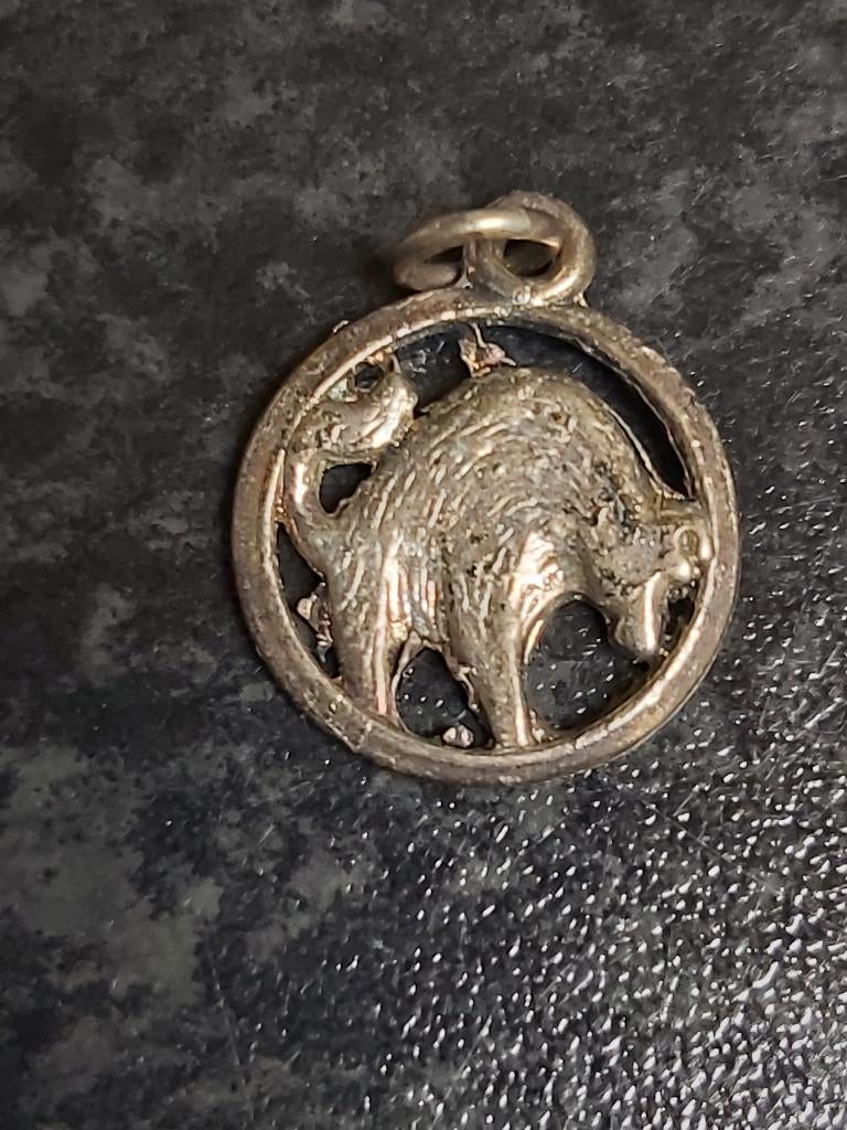 Kettinghanger sterrenbeeld "stier", Overige materialen, Gebruikt, Ophalen of Verzenden, Kruis of Symbool