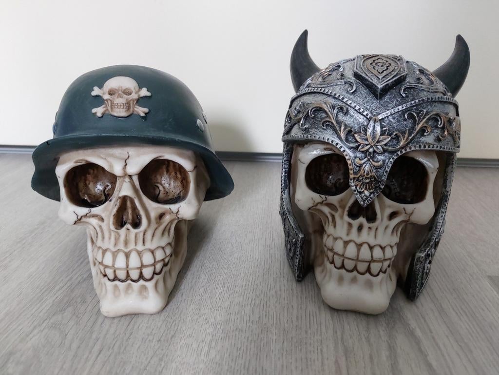 Twee schedels. Viking en militair., Ophalen of Verzenden, Zo goed als nieuw