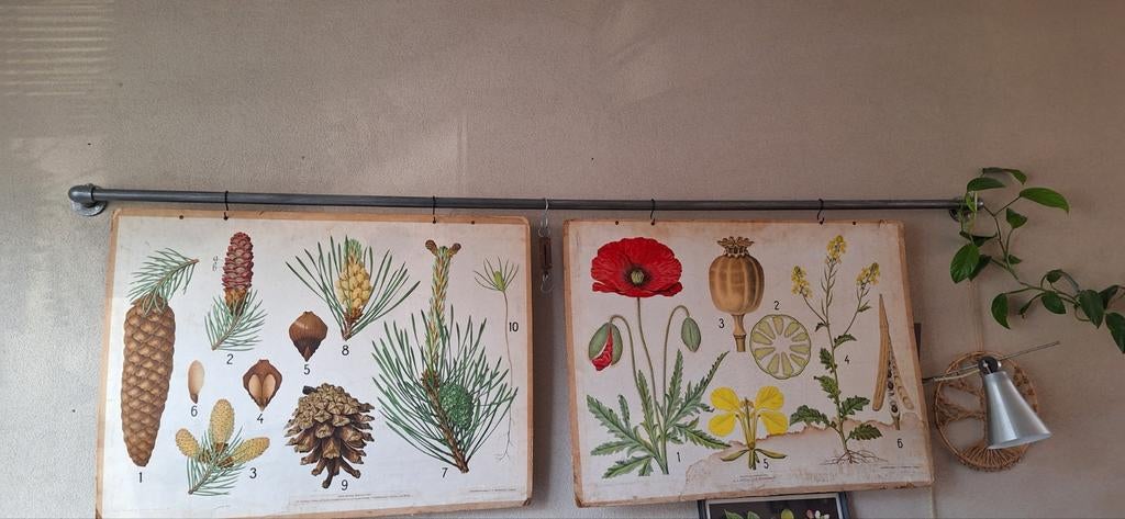 Steigerbuis wandrek met hoekjes, Huis en Inrichting, Ophalen