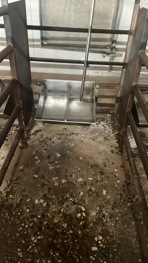 Stalinrichting voor varkens, Dieren en Toebehoren, Schapen, Geiten en Varkens, Meerdere dieren, Varken