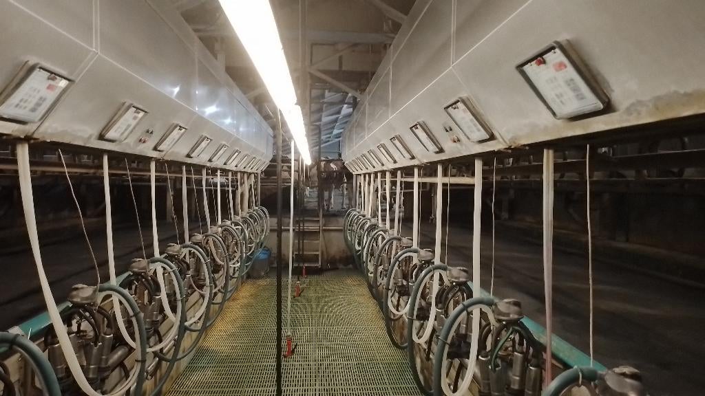 Melkstal GEA 2 x 12 zij aan zij, Ophalen, Zo goed als nieuw