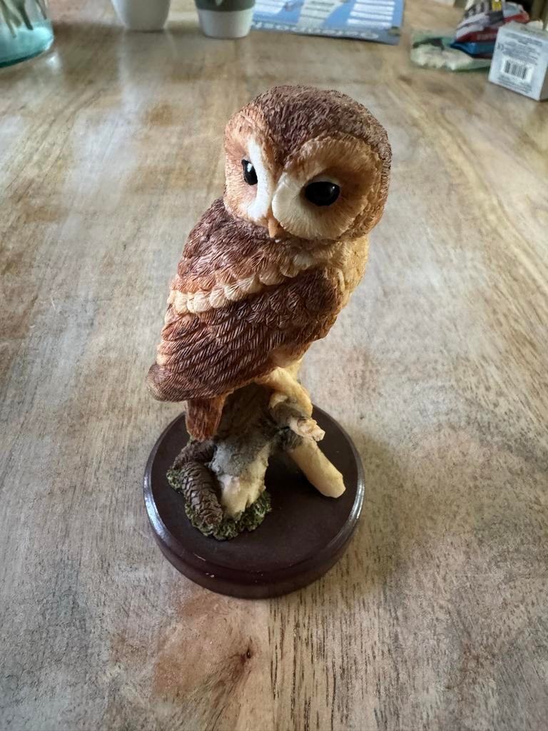 Atlas Editions Verzamel Vogeltjes, Ophalen of Verzenden, Zo goed als nieuw, Dier