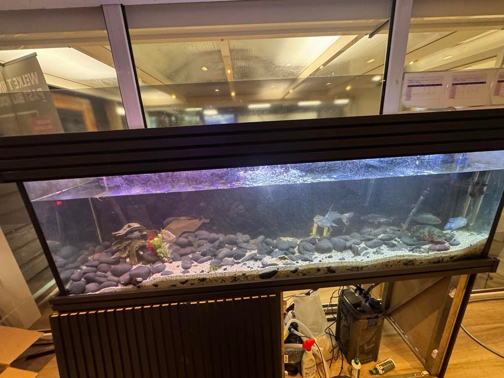 Aquarium met pomp 2 meter, Dieren en Toebehoren, Vissen | Aquaria en Toebehoren, Ophalen of Verzenden, Nieuw, Gevuld zoetwateraquarium