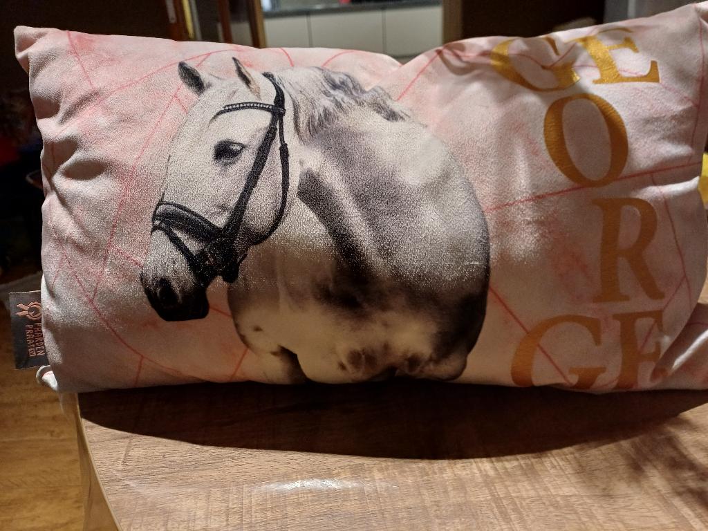 PaardenpraatTV kussen van George, Ophalen of Verzenden, Zo goed als nieuw, Roze, Rechthoekig