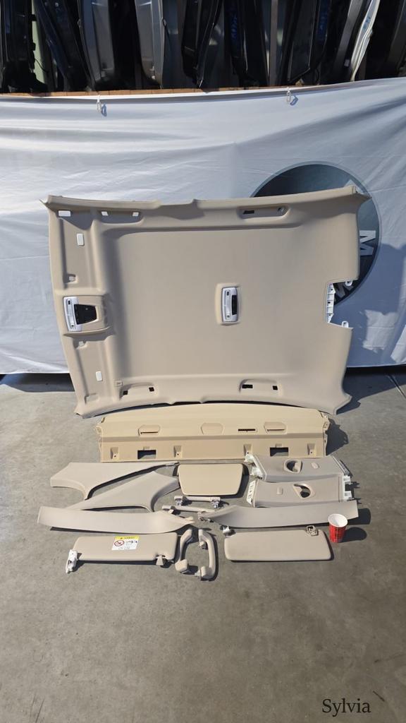 Dakhemel hemelbekleding en hoedenplank beige BMW 3 serie F30, Gebruikt, -, -, Ophalen of Verzenden