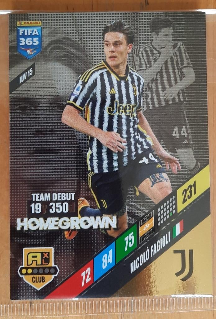 Panini FIFA 365 2024 Nicolò Fagioli Homegrown kaart, Ophalen of Verzenden, Zo goed als nieuw, Buitenlandse clubs, Poster, Plaatje of Sticker