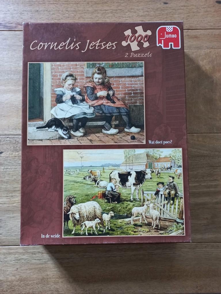2x puzzel 1000 stukjes, Ophalen of Verzenden, 500 t/m 1500 stukjes, Zo goed als nieuw