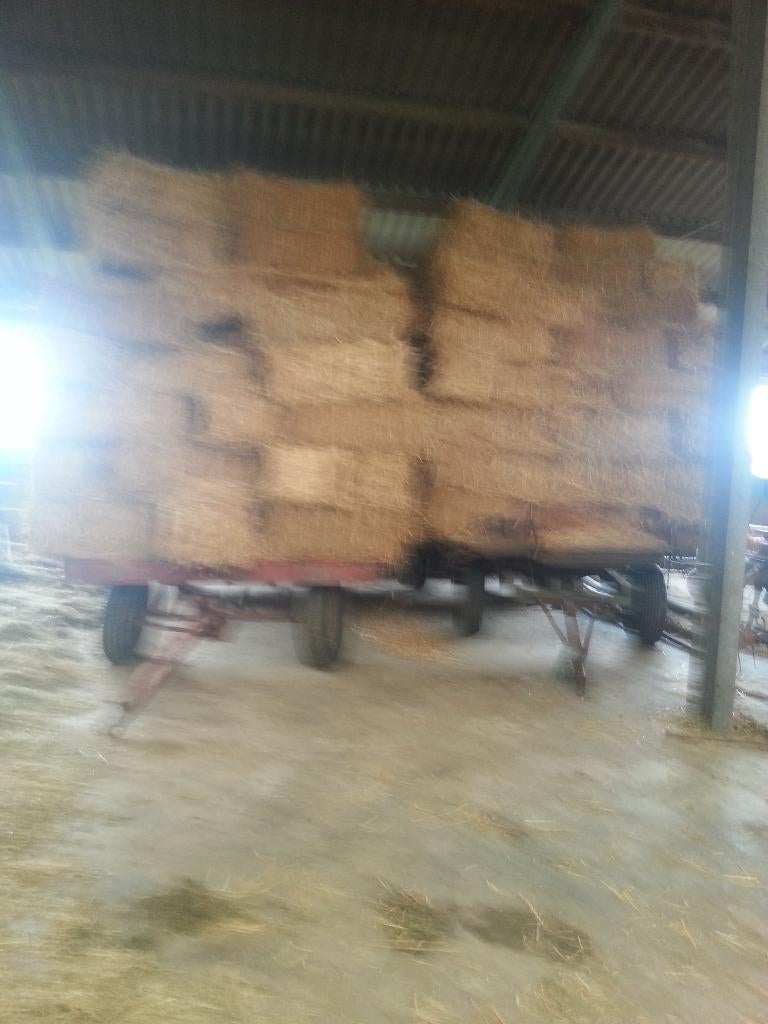 stro tarwe gerst en bonenstro, Ophalen, Vee