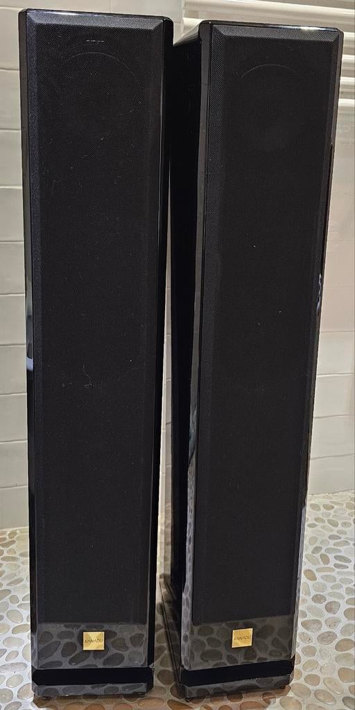 Xanadu DS14AL transmissielijn Seas woofer+Focal tweeter igst, Gebruikt, 120 watt of meer, Nvt, Xanadu