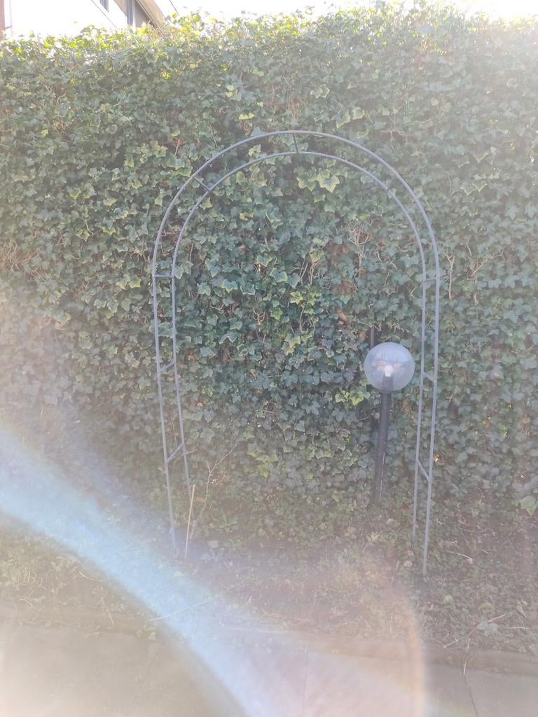 Rozenboog gratis ophalen, Ophalen of Verzenden