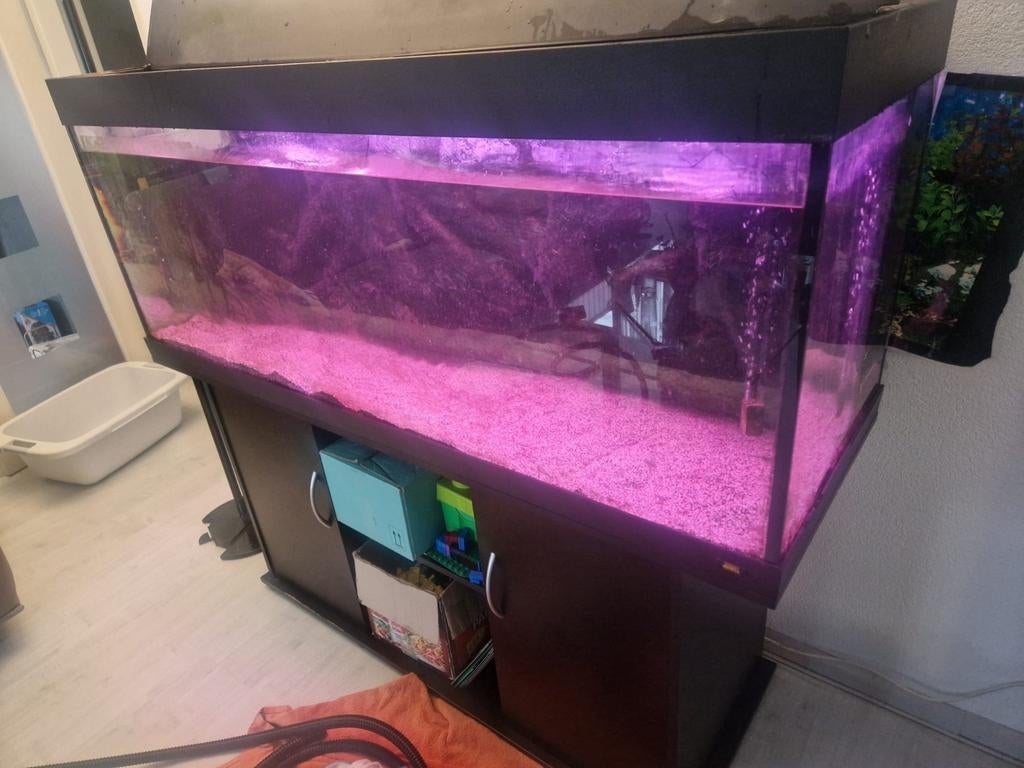 Te koop aquarium juwel Rio 400, Ophalen, Gebruikt, Leeg aquarium