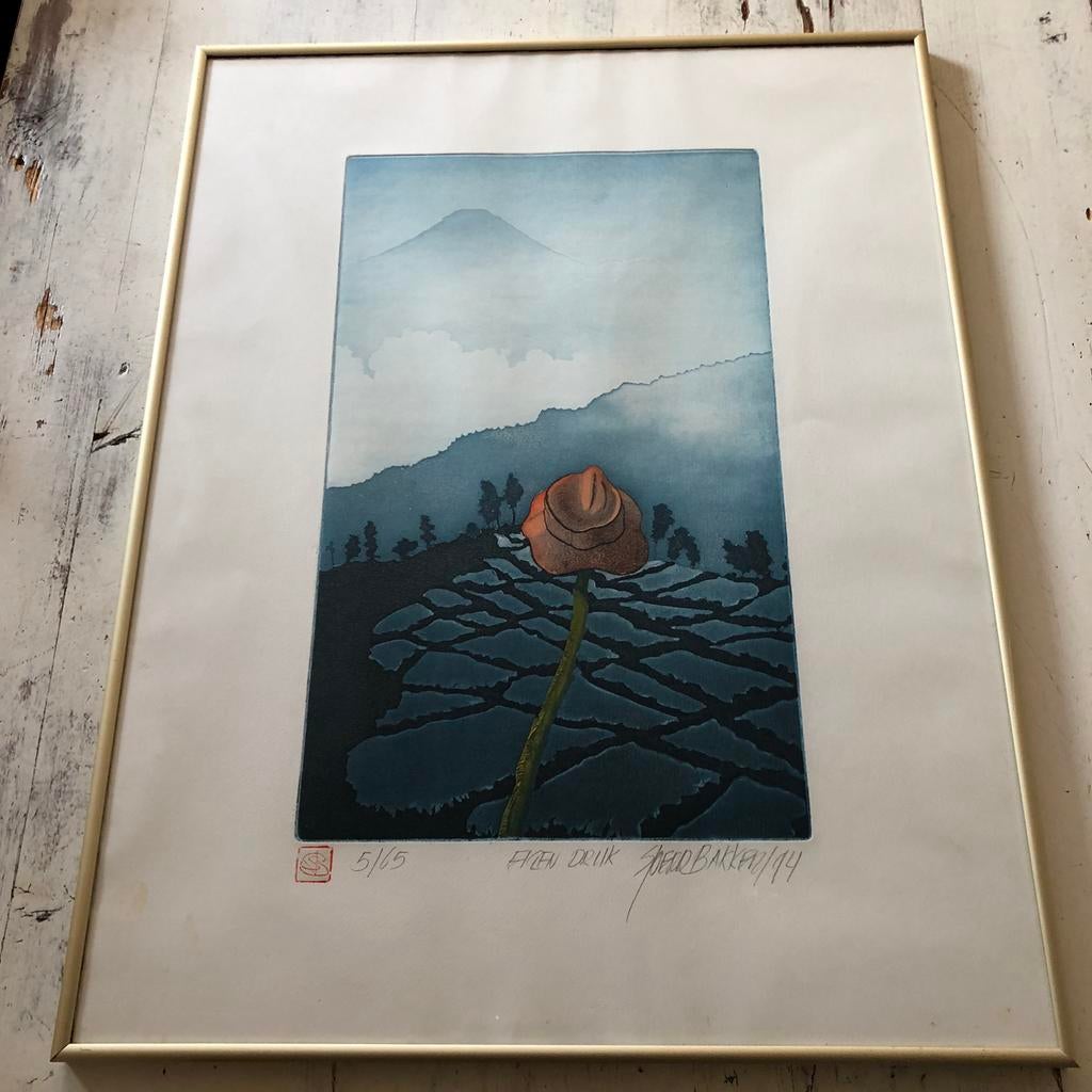 Druk van Sjoerd Bakker, Antiek en Kunst, Kunst | Etsen en Gravures, Ophalen