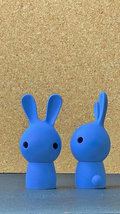 Gezocht: konijntjes van Jorine Oosterhoff, Ophalen, Zo goed als nieuw