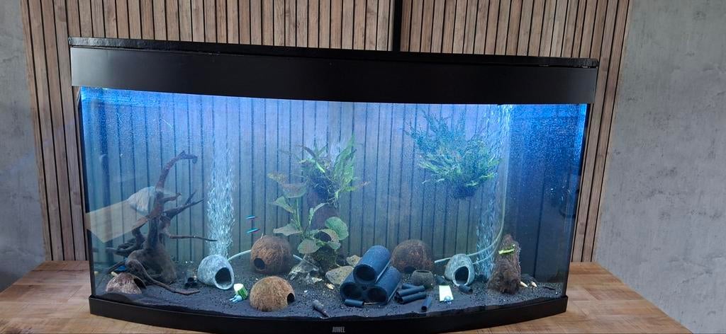 Juwel vision 260L, Ophalen, Gebruikt, Leeg aquarium
