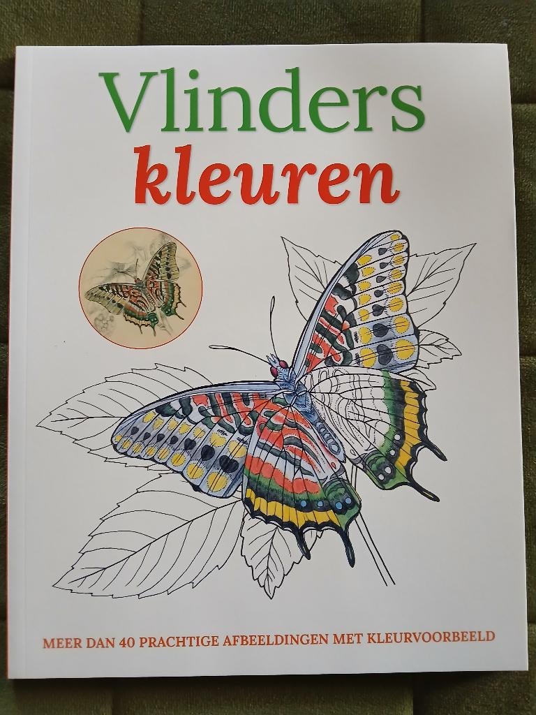 Vlinders kleuren, Ophalen of Verzenden, Nieuw