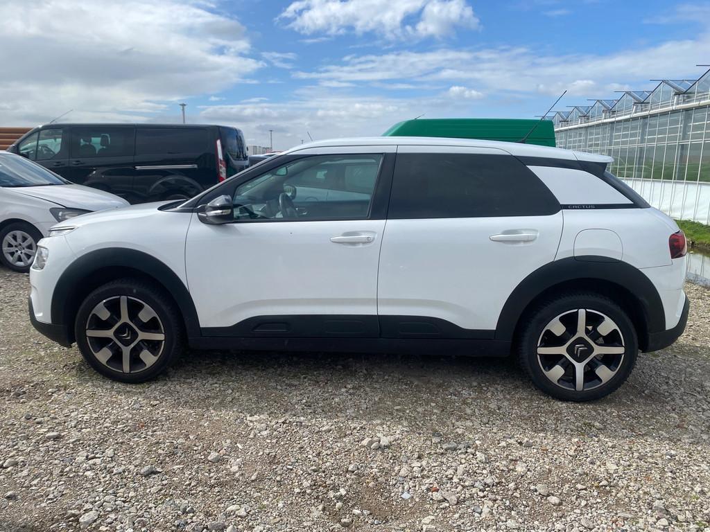 Citroen C4 Cactus 2018 * 1.2 PureTech Shine * EURO 6 * MOTOR, Auto's, Voorwielaandrijving, Euro 6, 1199 cc, Wit