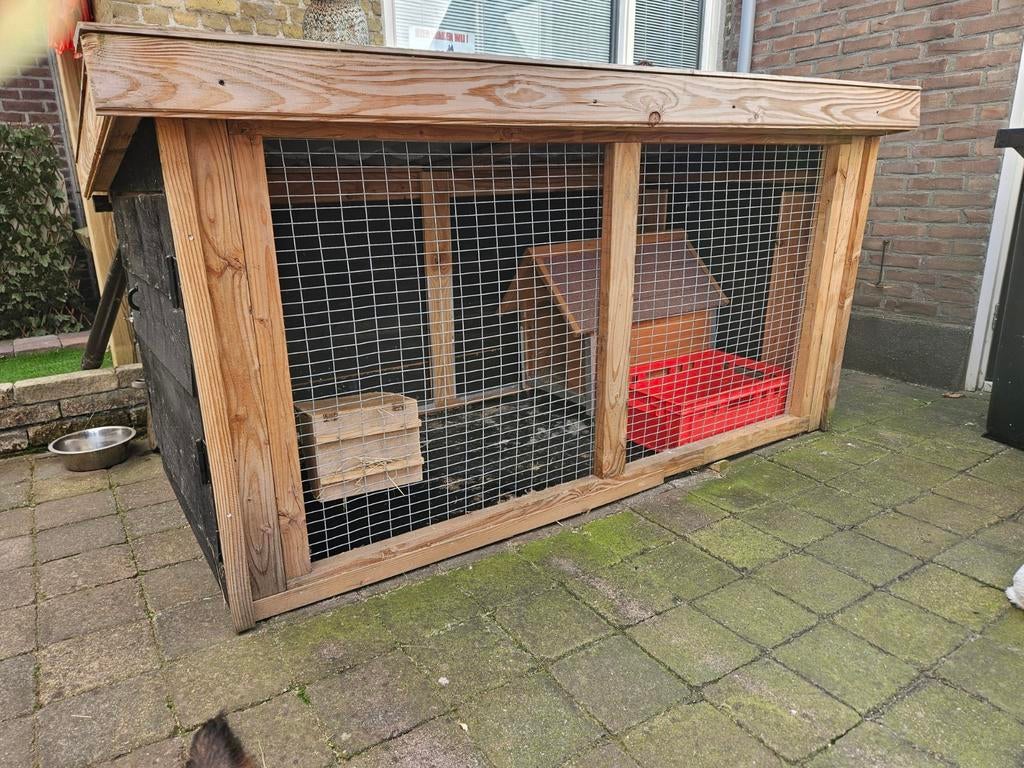Schitterend marterproof konijnenren met nachthok, Ophalen, 110 cm of meer, 100 cm of meer