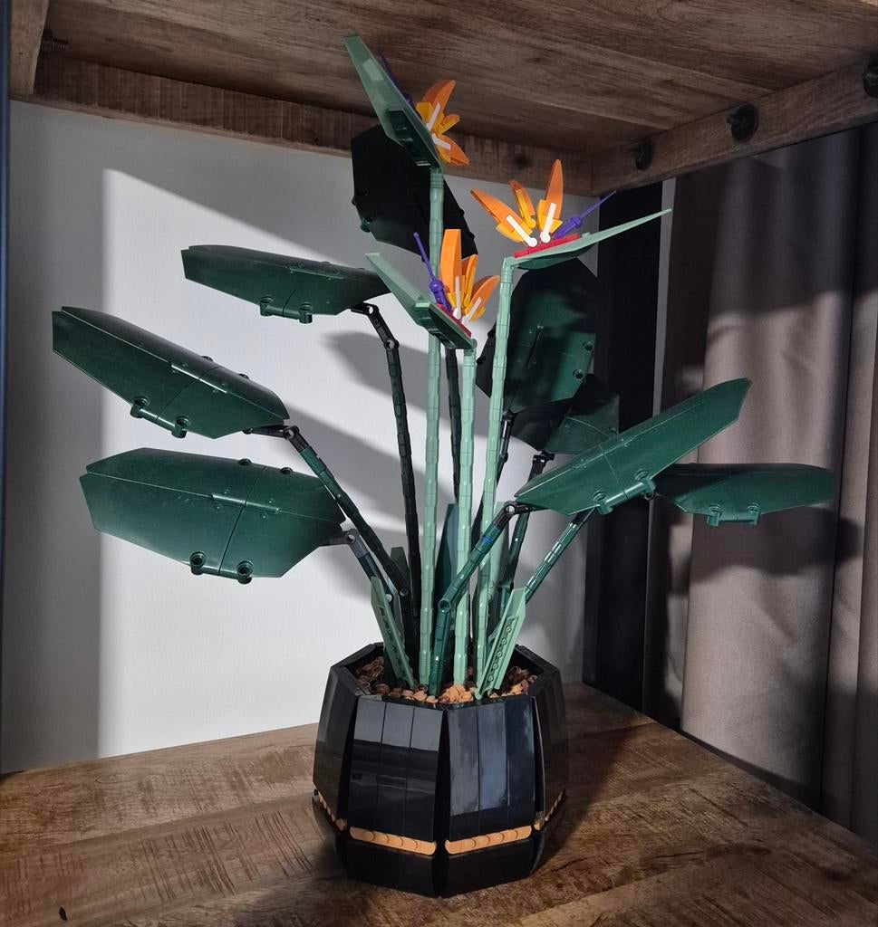 Lego Birds of paradise 10289 met doos!, Kinderen en Baby's, Ophalen, Zo goed als nieuw