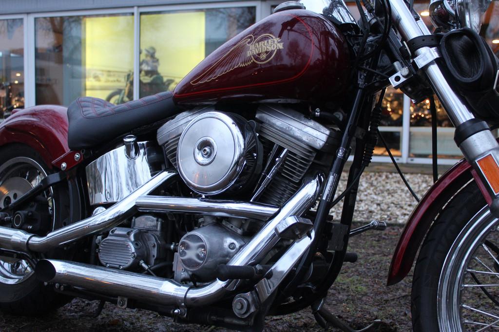 Harley-Davidson Softail Custom EVO - foto 2