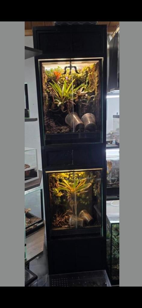 Terrarium stelling zwart alumnium, Ophalen