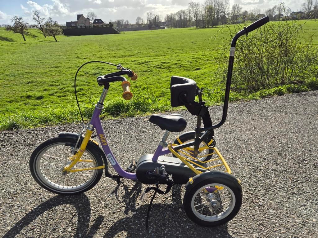Driewielfiets Sunny Acky, Fietsen en Brommers, Ophalen
