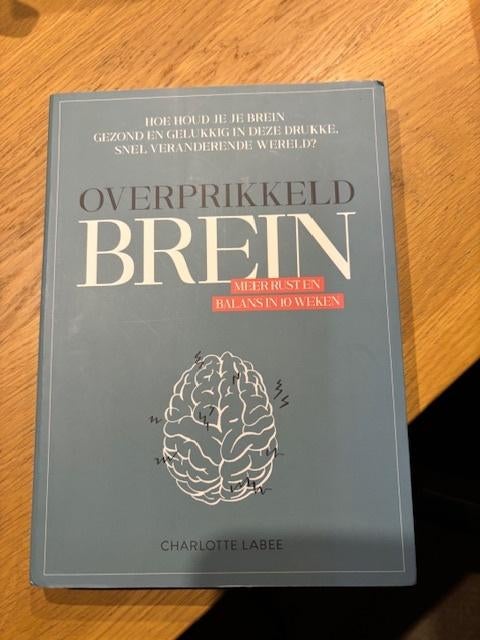 Overprikkeld brein van Charlotte Labee, Ophalen of Verzenden, Zo goed als nieuw, Charlotte Labee