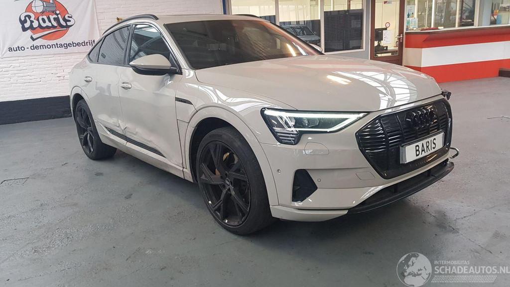 Audi e-tron 50 SUV AUT ELEKTRISCH 230KW 313PK 4x4 (bj 2020), Automaat, Beige, Elektrisch, Audi
