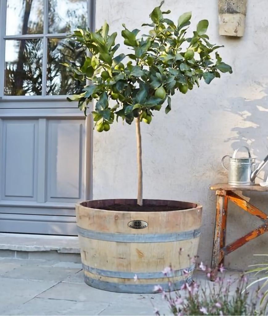 Houten Kuipen | Bloembakken | voor Olijfboom | Fruitboom, Rond, Nieuw, Barrel Atelier, Ophalen of Verzenden