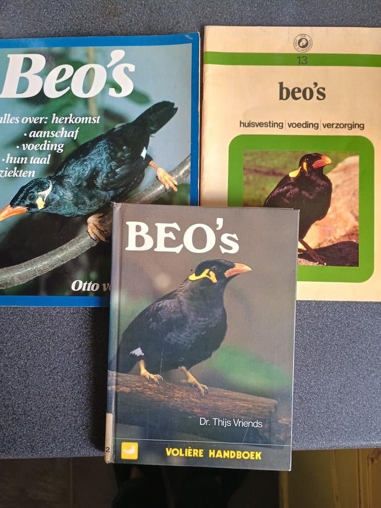 3 boeken over de Beo vogel, Ophalen of Verzenden, Gelezen, Vogels