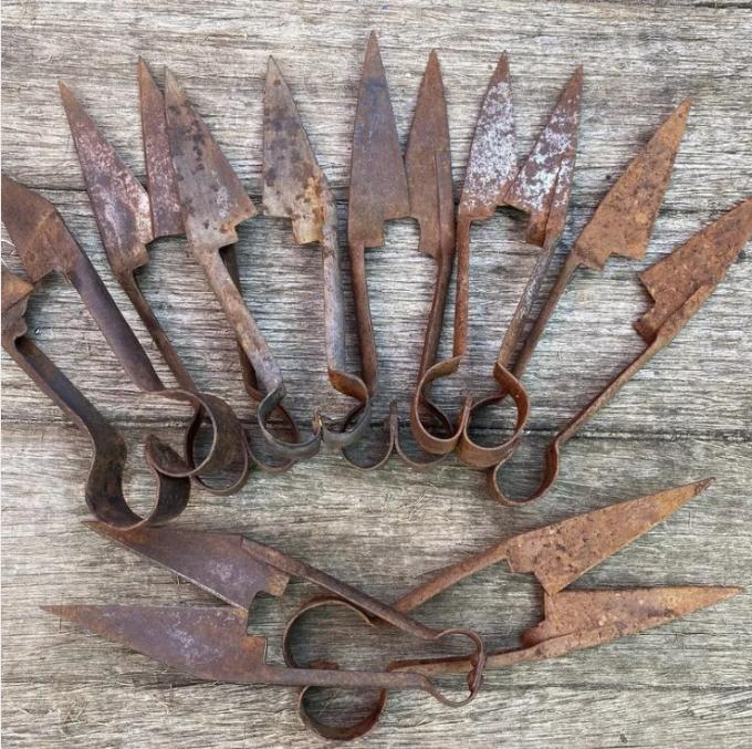 Antieke wolscharen, Antiek en Kunst, Antiek | Gereedschap en Instrumenten, Ophalen of Verzenden